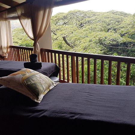 Honeywood Forest Lodge Port Shepstone Kültér fotó