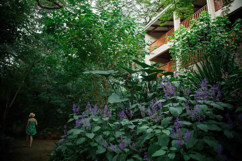 Honeywood Forest Lodge Port Shepstone Kültér fotó