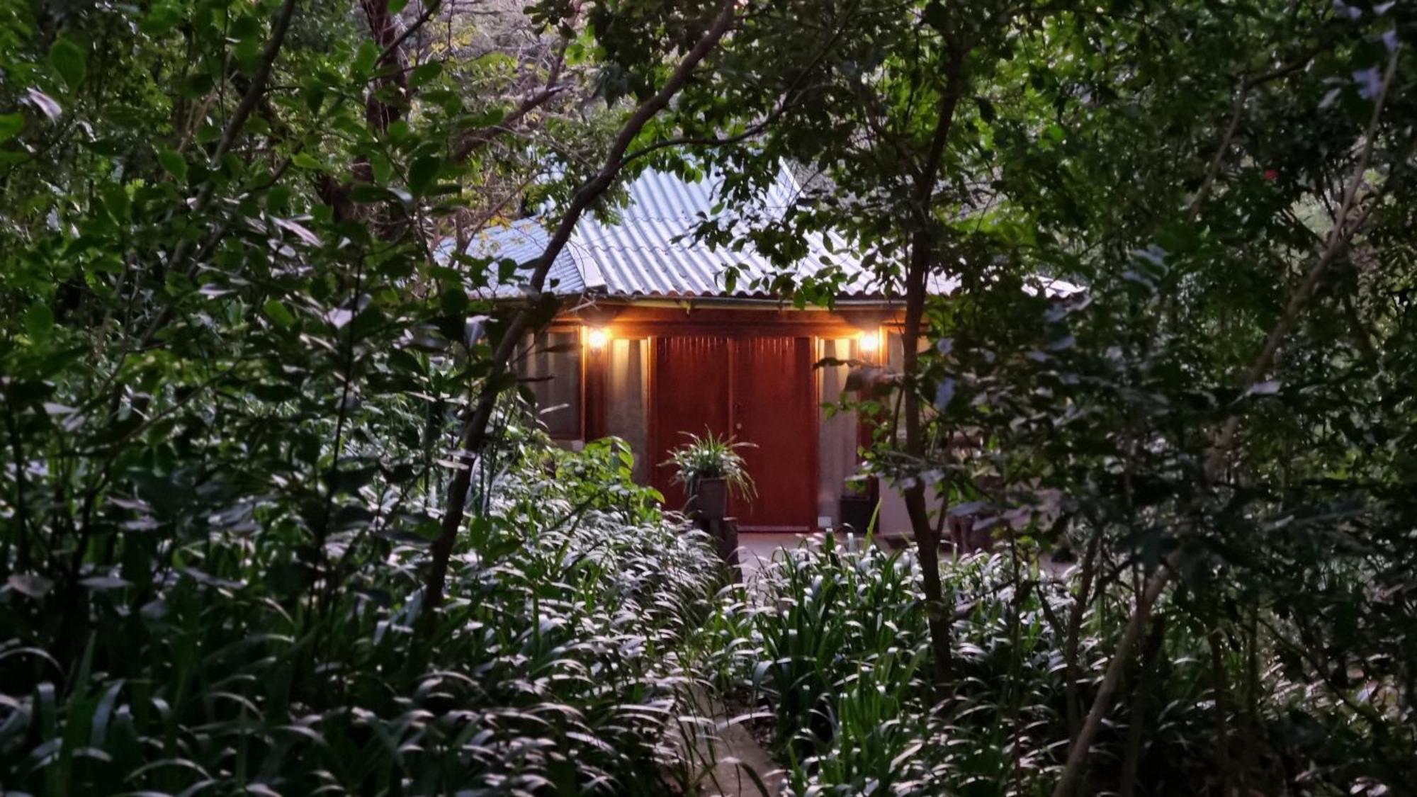 Honeywood Forest Lodge Port Shepstone Kültér fotó