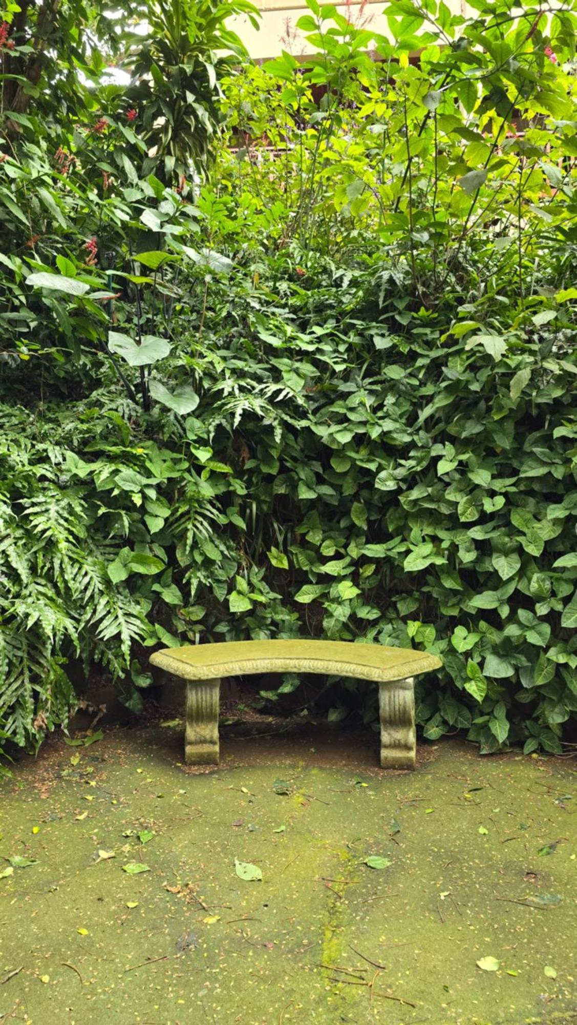 Honeywood Forest Lodge Port Shepstone Kültér fotó