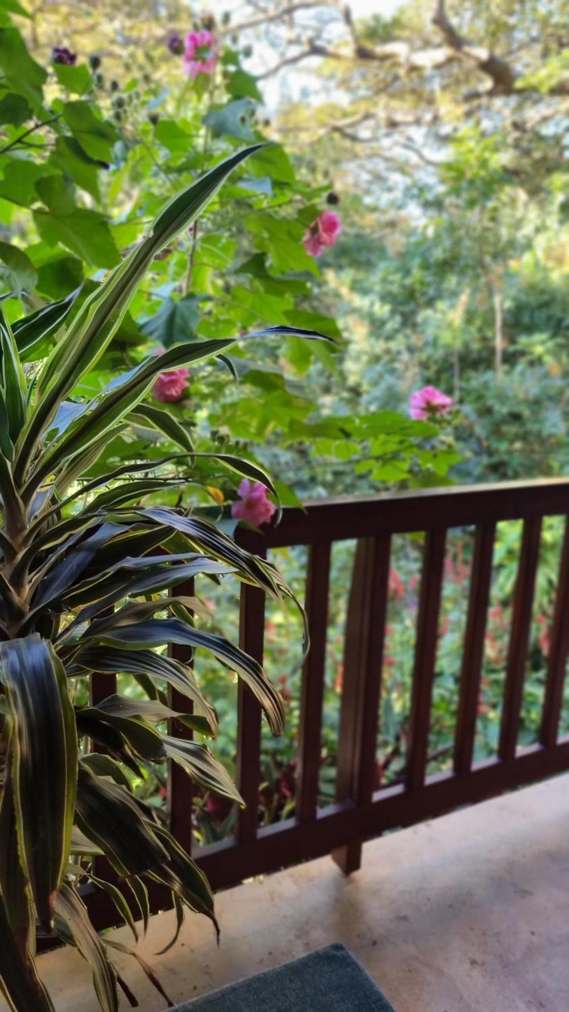 Honeywood Forest Lodge Port Shepstone Kültér fotó