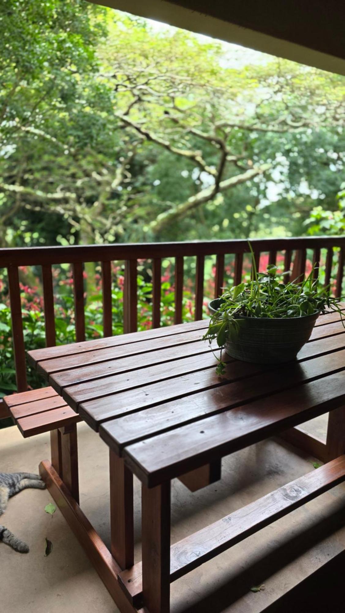 Honeywood Forest Lodge Port Shepstone Kültér fotó